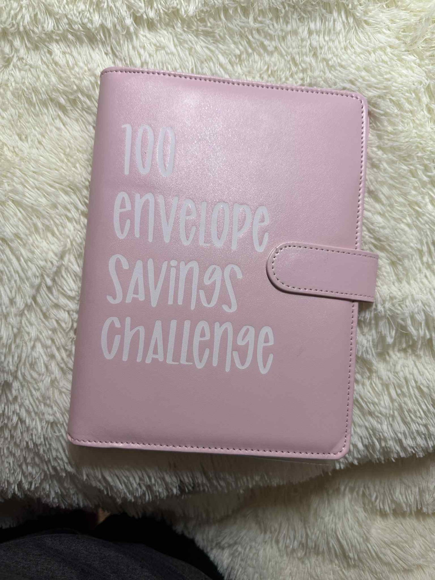 100 Day Savings Challenge Book