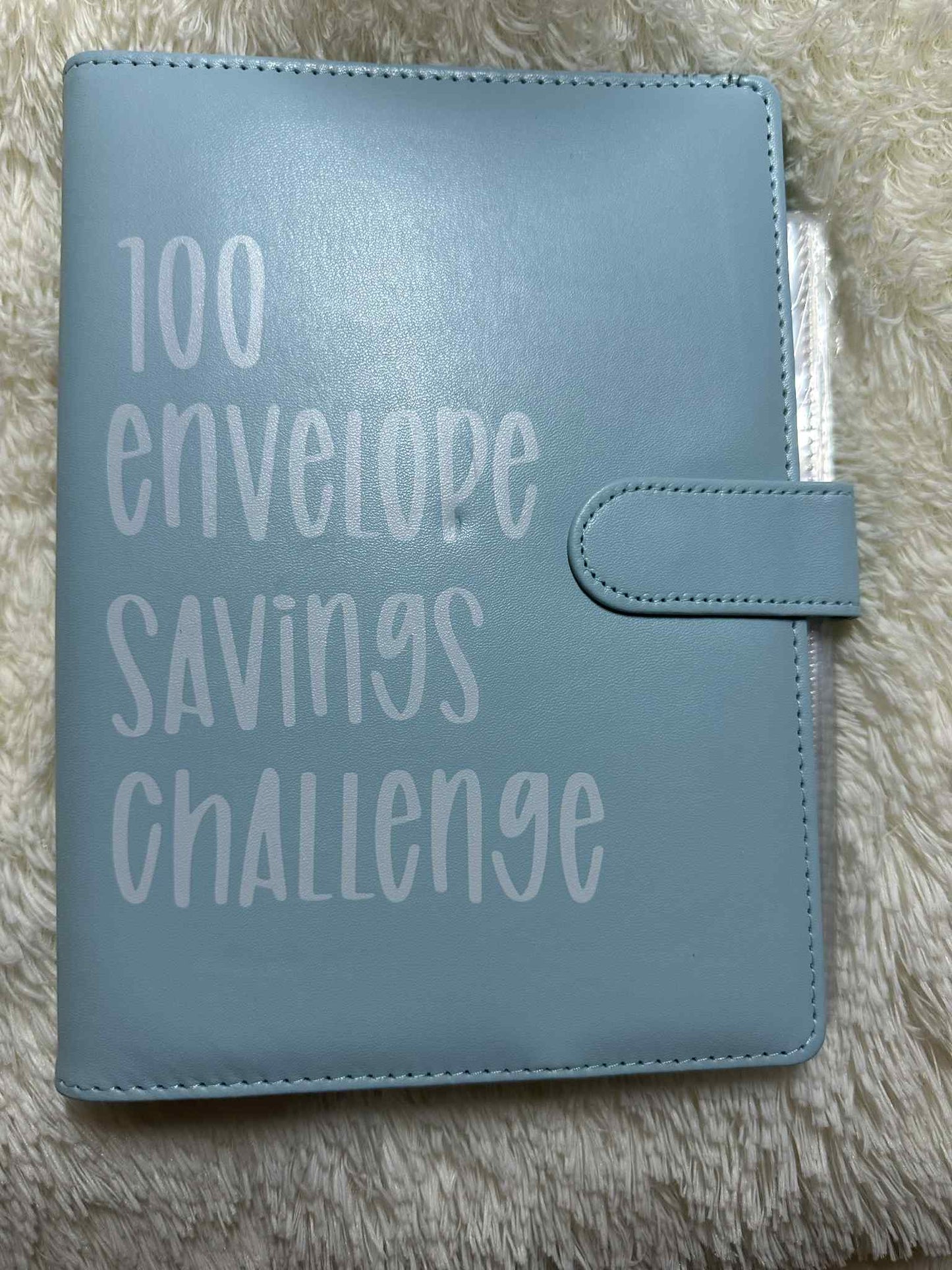 100 Day Savings Challenge Book