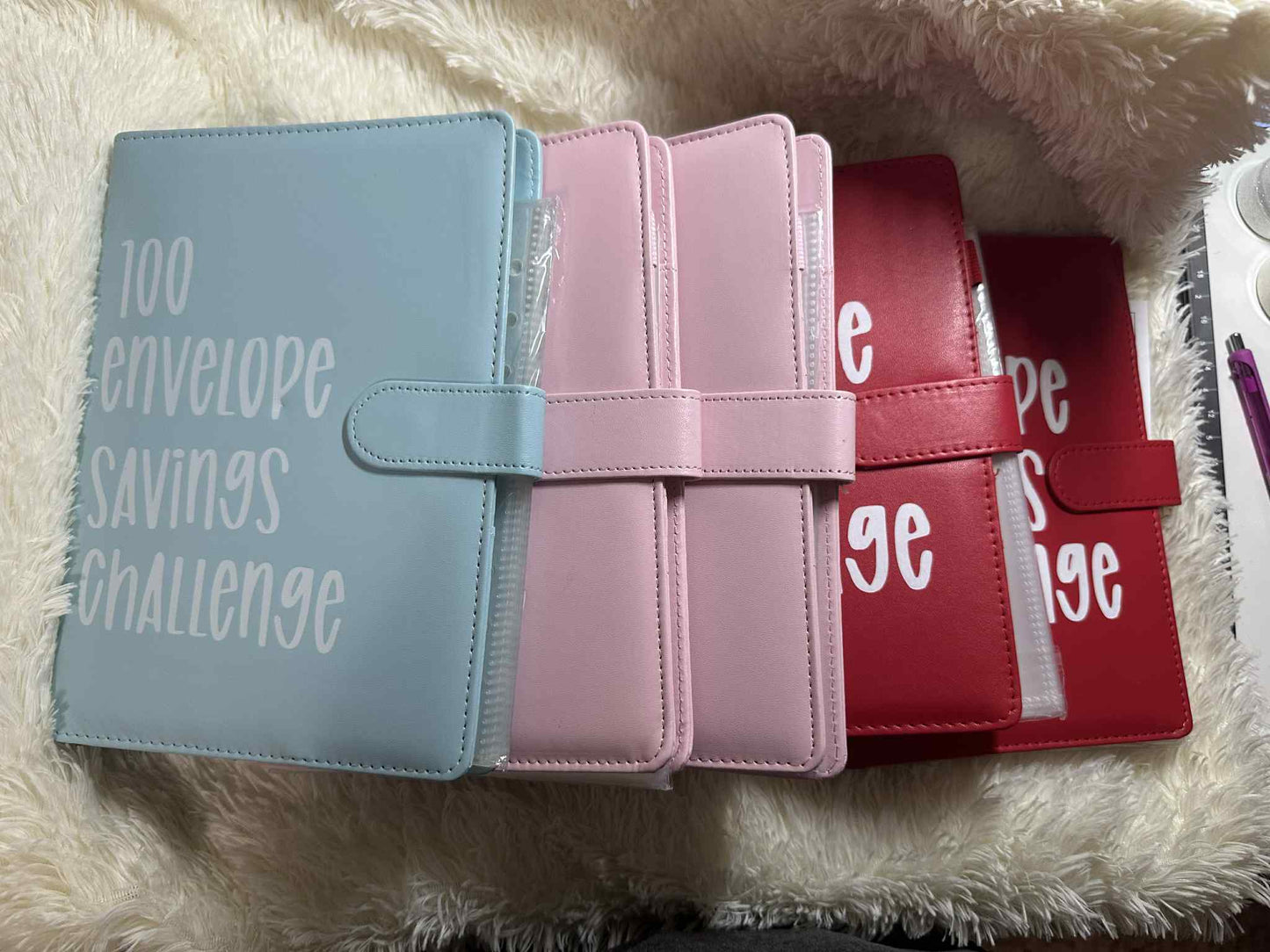 100 Day Savings Challenge Book