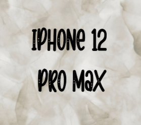 IPhone 12 Pro Max Phone Case